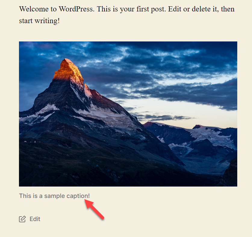 sample caption in front end